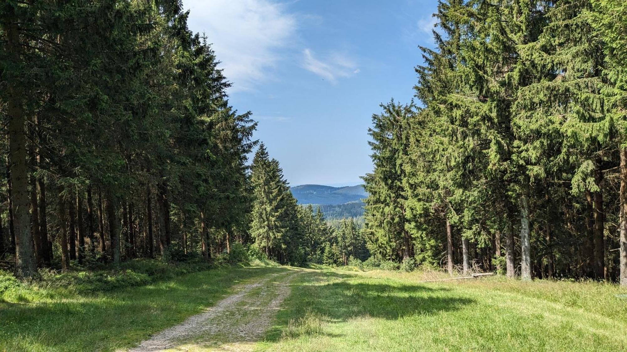Chill Out Apartment Bergblick Goslar Exterior foto